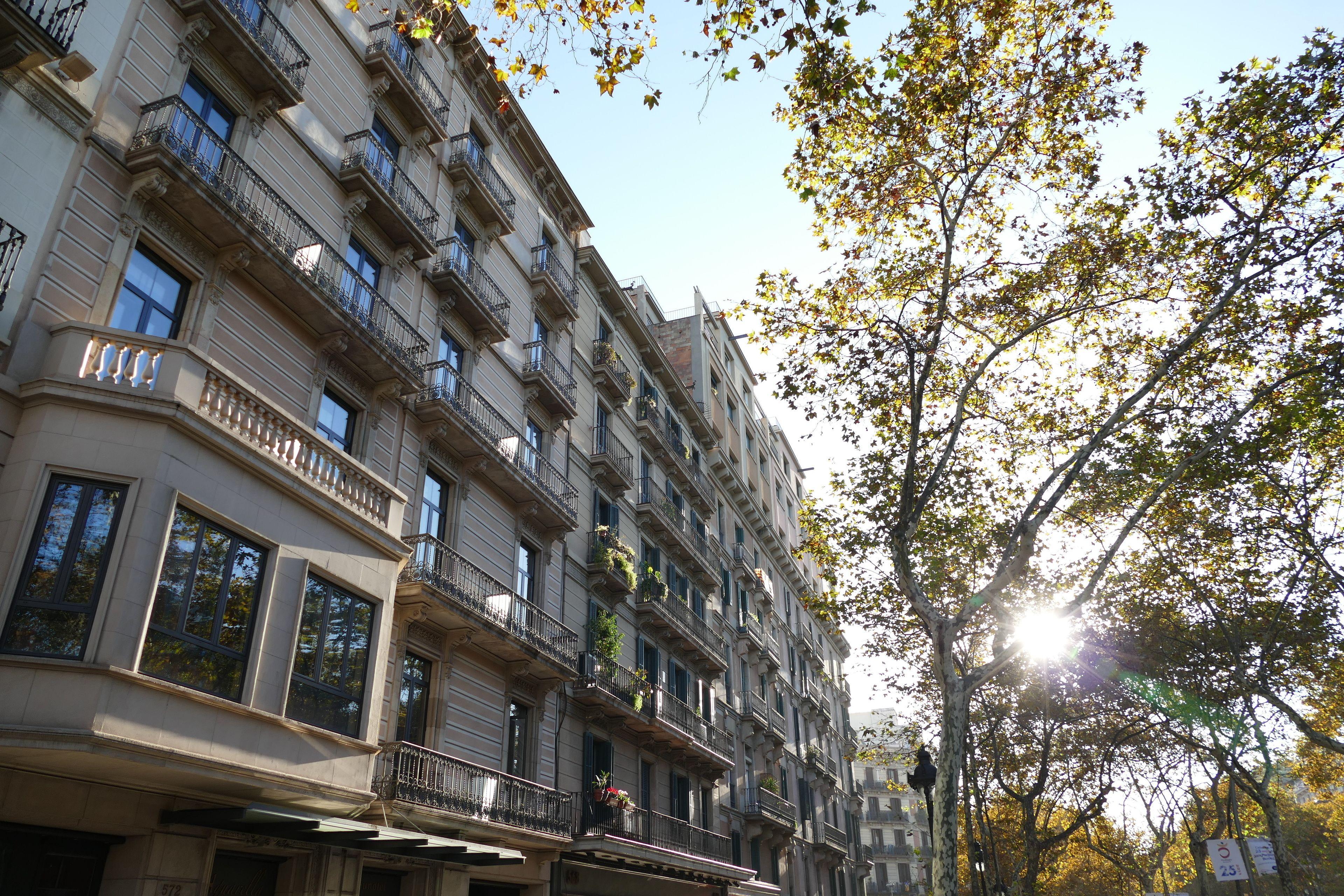 Petit Palace Eixample — Фото 2