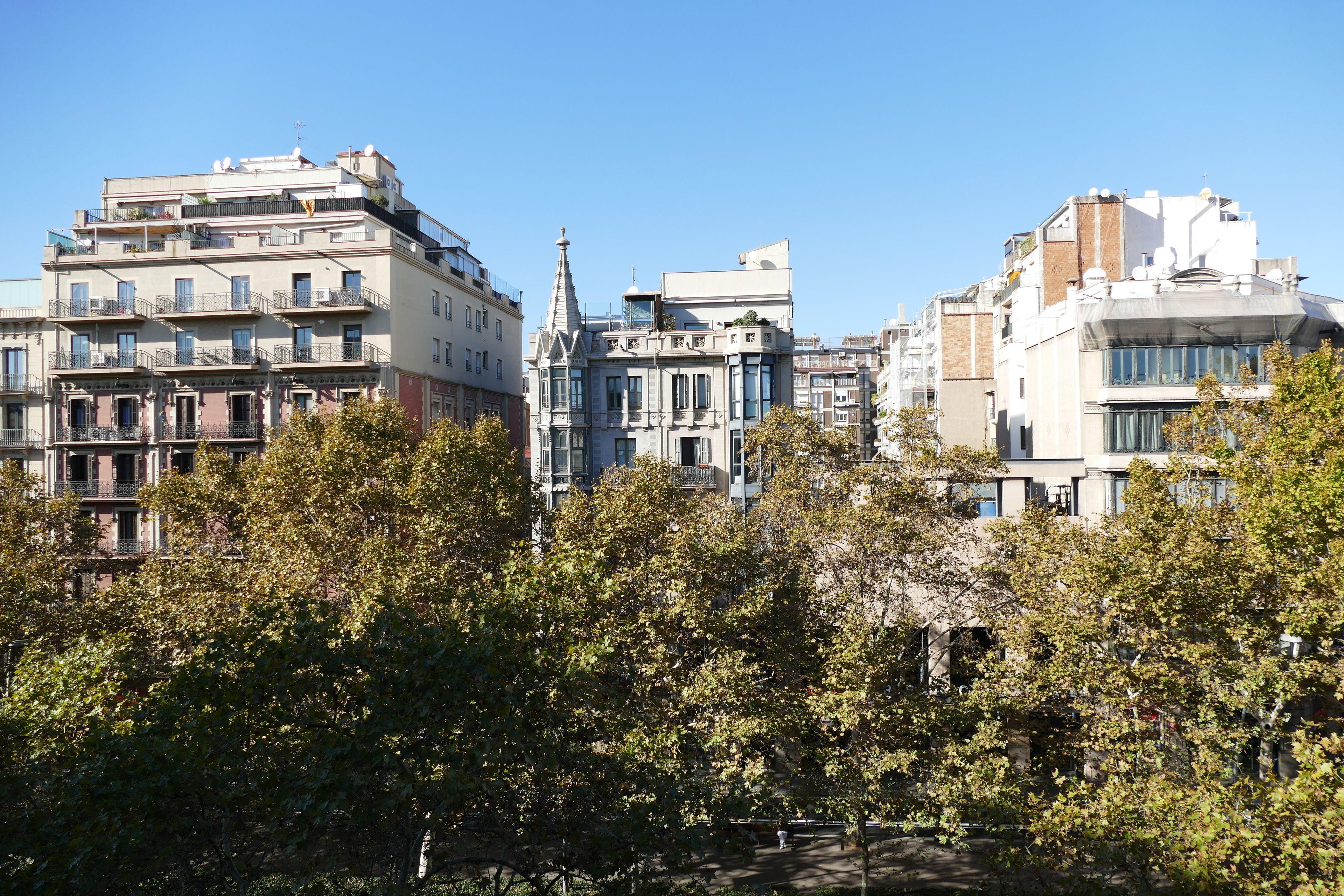 Petit Palace Eixample — Фото 3